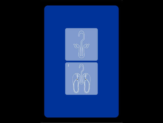 Gancho Multiusos para calzado vista 2